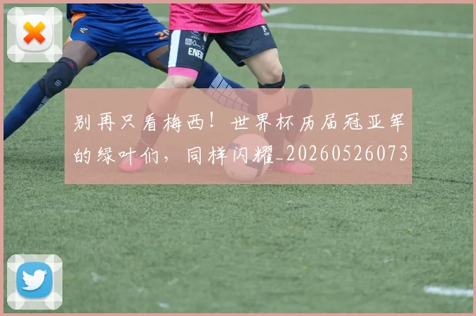 别再只看梅西！世界杯历届冠亚军的绿叶们，同样闪耀_20260526073155