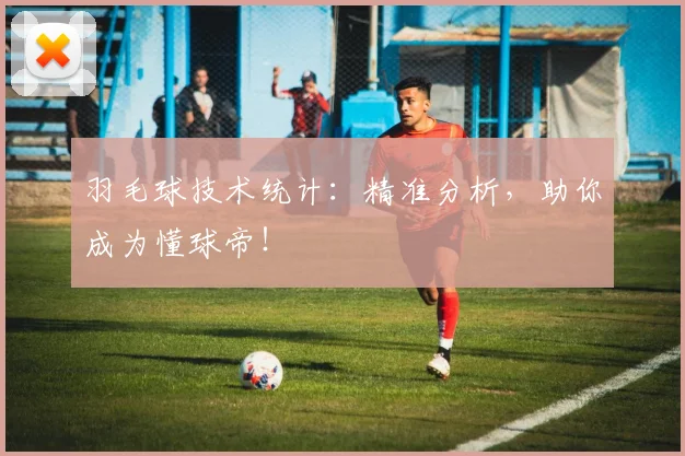 羽毛球技术统计：精准分析，助你成为懂球帝！