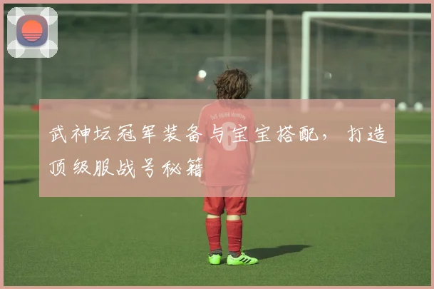 武神坛冠军装备与宝宝搭配，打造顶级服战号秘籍